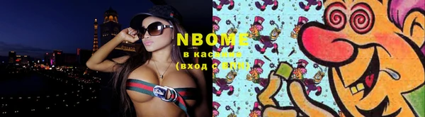 соль ск Абаза