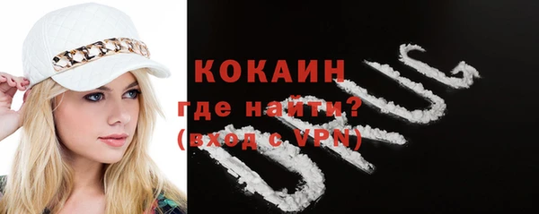 соль ск Абаза