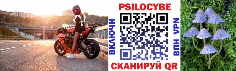 Псилоцибиновые грибы прущие грибы  shop клад  Дивногорск 