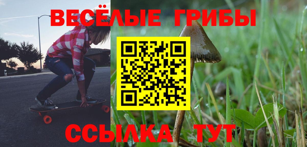 Галлюциногенные грибы ЛСД Дивногорск